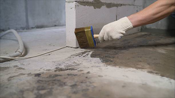 24/7 Emergency Crawl Space Encapsulation experts in Washington, MI